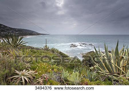 Coast of California, USA, elevated view View Large Photo Image Stock Photograph - Coast of California, USA, elevated view . Fotosearch