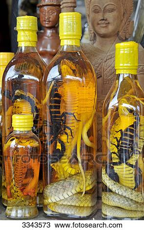 Cobra and scorpions in bottles, Cambodia, close-up View Large Photo Image Stock Image - Cobra and scorpions in bottles, Cambodia, close-up . Fotosearch