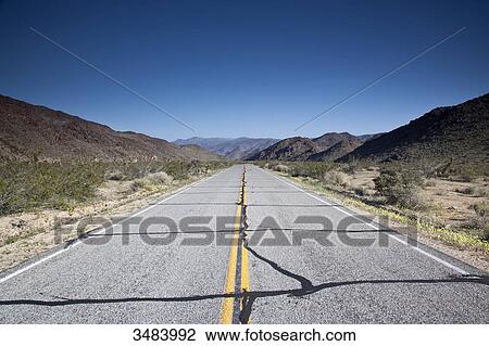 Country road through the Joshua Tree National Park, California, USA, vanishing point View Large Photo Image Stock Image - Country road through the Joshua Tree National Park, California, USA, vanishing point . Fotosearch