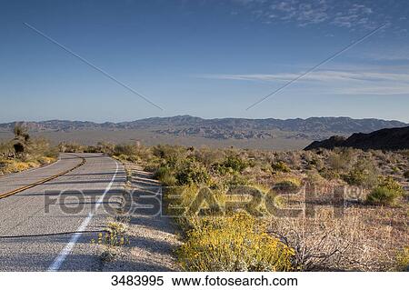 Country road through the Joshua Tree National Park, California, USA View Large Photo Image Stock Photography - Country road through the Joshua Tree National Park, California, USA . Fotosearch