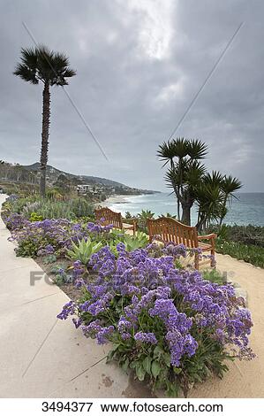 Stock Photo - Flowers and benches at a path, California, USA, elevated view . Fotosearch