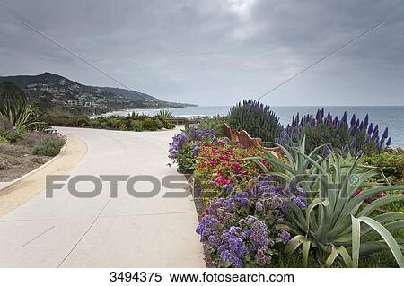 Stock Photography - Flowers and benches at a path, California, USA, elevated view . Fotosearch