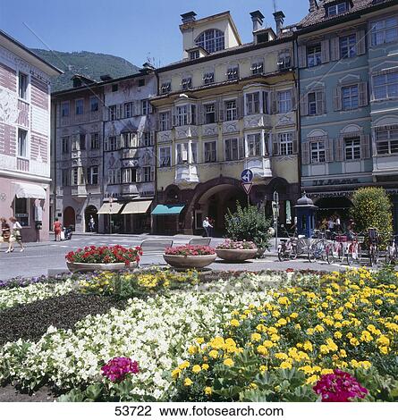 Flowers blooming with buildings in city, Bolzano, Trentino-Alto Adige, Italy View Large Photo Image Stock Image - Flowers blooming with buildings in city, Bolzano, Trentino-Alto Adige, Italy . Fotosearch