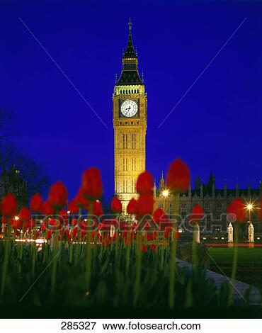 Stock Photo - Flowers in front of clock tower at dusk . Fotosearch
