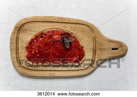 Fly on slice of bread with jam  View Large Photo Image Picture - Fly on slice of bread with jam . Fotosearch