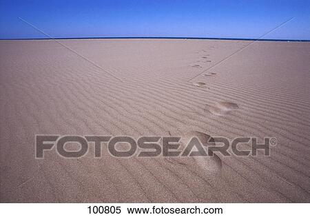 Stock Photography - Footprints on sand dunes, Spain . Fotosearch