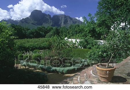 Garden with mountain ranges in background, Boschendal, Western Cape Province, South Africa View Large Photo Image Stock Photo - Garden with mountain ranges in background, Boschendal, Western Cape Province, South Africa . Fotosearch