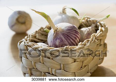 Garlic in a basket, close-up View Large Photo Image Stock Image - Garlic in a basket, close-up . Fotosearch