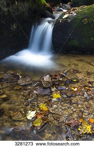 Stock Image - Gertelsbacher Wasserfall, Buehlertal, Black Forest, Baden-Württemberg, Germany . Fotosearch