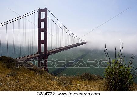 Golden Gate Bridge in fog, San Francisco, USA, high angle view View Large Photo Image Stock Image - Golden Gate Bridge in fog, San Francisco, USA, high angle view . Fotosearch