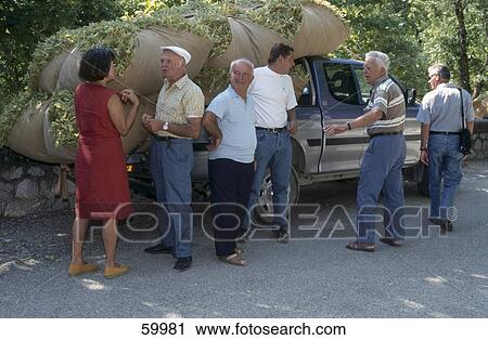 Group of people near a pickup truck loaded with agricultural produce, Buis les Baronies View Large Photo Image Stock Image - Group of people near a pickup truck loaded with agricultural produce, Buis les Baronies . Fotosearch