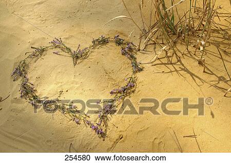 Heart made of grass on sand View Large Photo Image Stock Image - Heart made of grass on sand . Fotosearch