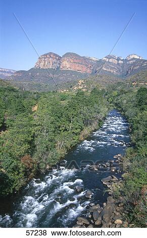 High angle view of a river flowing through a forest, Blyde River Canyon, Mpumalanga, South Africa View Large Photo Image Stock Photo - High angle view of a river flowing through a forest, Blyde River Canyon, Mpumalanga, South Africa . Fotosearch
