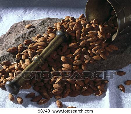 High angle view of almonds in a mortar View Large Photo Image Stock Image - High angle view of almonds in a mortar . Fotosearch