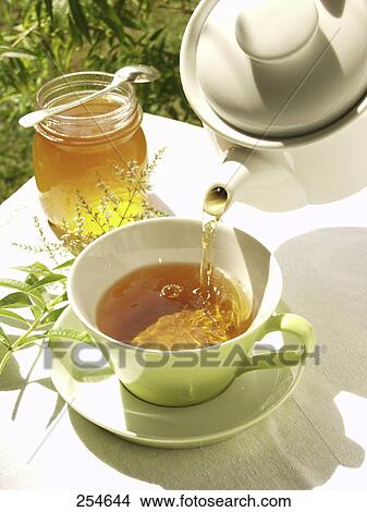 High angle view of black tee being poured into tea cup View Large Photo Image Picture - High angle view of black tee being poured into tea cup . Fotosearch