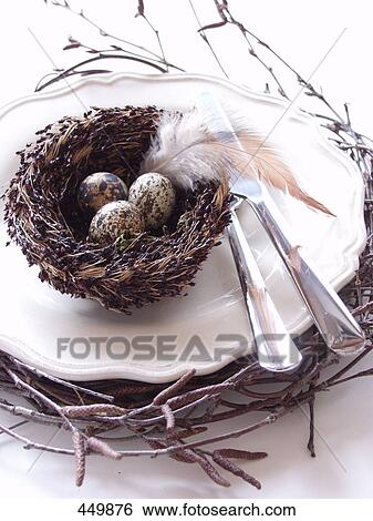 High angle view of feather and eggs in nest View Large Photo Image Stock Photograph - High angle view of feather and eggs in nest . Fotosearch