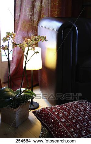 High angle view of floor lamp and flowering plants View Large Photo Image Picture - High angle view of floor lamp and flowering plants . Fotosearch