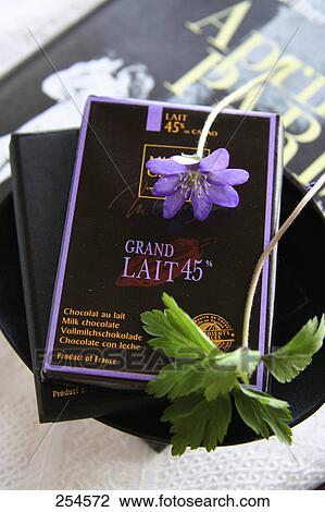 High angle view of flower and leaf on bar of chocolate View Large Photo Image Stock Image - High angle view of flower and leaf on bar of chocolate . Fotosearch