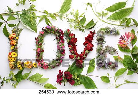 High angle view of flowers and leaves View Large Photo Image Stock Image - High angle view of flowers and leaves . Fotosearch