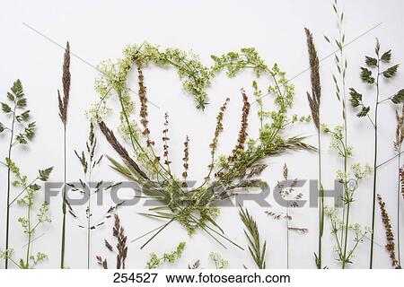 High angle view of heart made out of grass View Large Photo Image Stock Photo - High angle view of heart made out of grass . Fotosearch