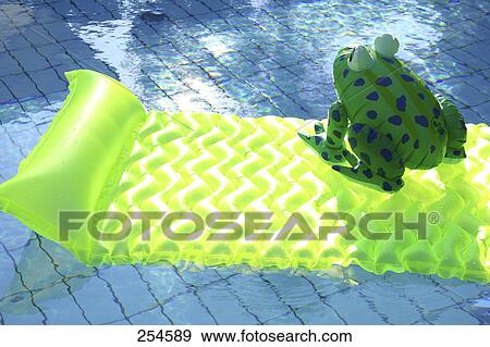 Stock Photo - High angle view of inflatable frog on pool raft in swimming pool . Fotosearch