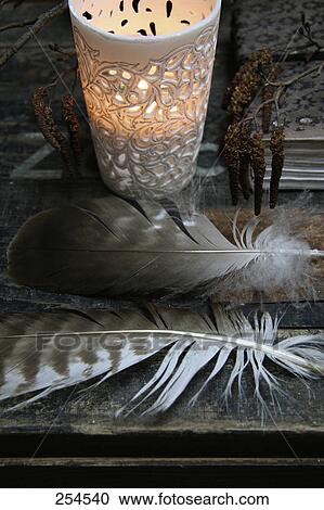 High angle view of lamp and feathers View Large Photo Image Stock Image - High angle view of lamp and feathers . Fotosearch