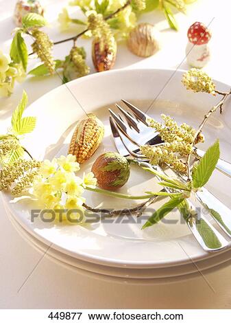 High angle view of primrose on plate View Large Photo Image Stock Photo - High angle view of primrose on plate . Fotosearch