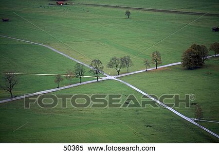 Stock Photography - High angle view of trees along road . Fotosearch