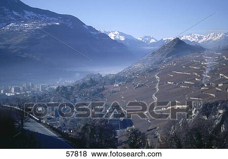 High angle view of vineyards on a mountain, Sion, Wallis, Switzerland View Large Photo Image Stock Photo - High angle view of vineyards on a mountain, Sion, Wallis, Switzerland . Fotosearch