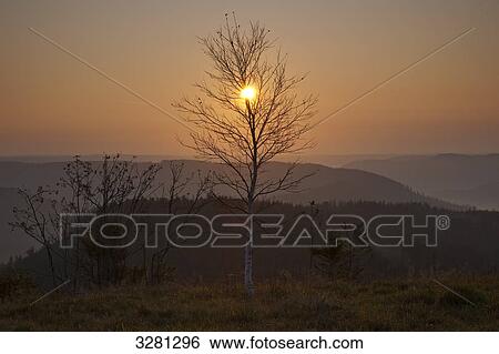 Stock Photograph - Hornisgrinde, Black Forest, Baden-Wuerttemberg, Germany . Fotosearch