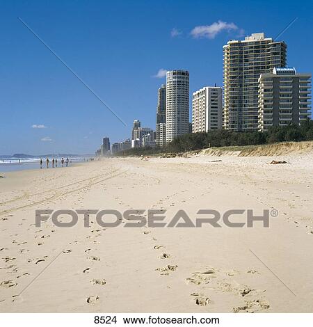 Picture - Hotels along the beach, Surfers Paradise, Queensland, Australia . Fotosearch
