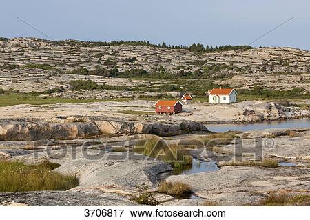 Houses at the skerry coast in Sotenaes, Sweden View Large Photo Image Stock Photo - Houses at the skerry coast in Sotenaes, Sweden . Fotosearch