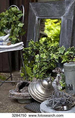 Ivy growing beside scrap and a mirror View Large Photo Image Stock Image - Ivy growing beside scrap and a mirror . Fotosearch