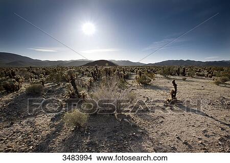 Joshua Tree National Park, California, USA, elevated view View Large Photo Image Picture - Joshua Tree National Park, California, USA, elevated view . Fotosearch