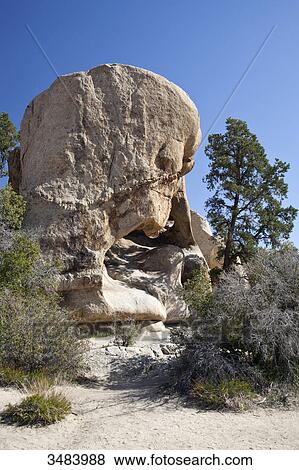 Stock Photo - Joshua Tree National Park, California, USA . Fotosearch