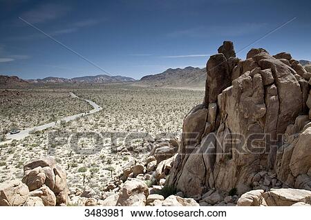 Stock Image - Joshua Tree National Park, road in the background, California, USA, elevated view . Fotosearch