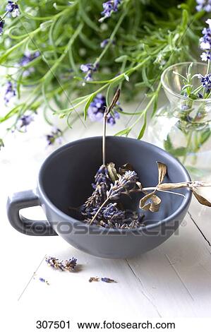 Lavender flowers in a cup View Large Photo Image Stock Image - Lavender flowers in a cup . Fotosearch