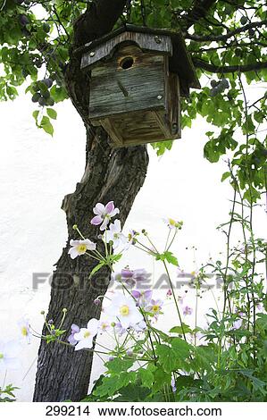 Picture - Low angle view of bird's cage hanging on tree . Fotosearch