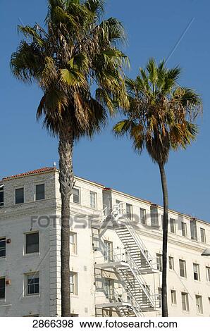 Stock Photo - Palm trees in front of building, Venice Beach, San Fernando Valley, City Of Los Angeles, Los Angeles County, California, USA . Fotosearch