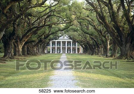 Pathway towards mansion, Oak Alley Plantation Mansion, Vacherie, Louisiana, USA View Large Photo Image Stock Photography - Pathway towards mansion, Oak Alley Plantation Mansion, Vacherie, Louisiana, USA . Fotosearch