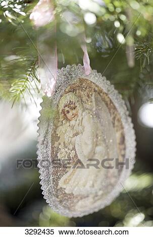 Pendant on a branch, close-up View Large Photo Image Stock Photography - Pendant on a branch, close-up . Fotosearch