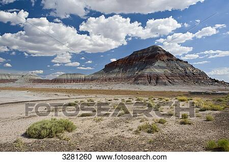 Petrified Forest National Park, Arizona, USA View Large Photo Image Stock Image - Petrified Forest National Park, Arizona, USA . Fotosearch