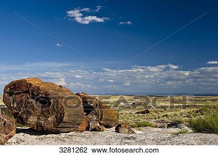 Petrified Forest National Park, Arizona, USA View Large Photo Image Stock Image - Petrified Forest National Park, Arizona, USA . Fotosearch