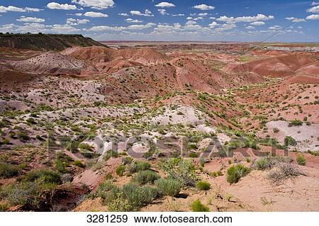 Petrified Forest National Park, Arizona, USA View Large Photo Image Stock Photo - Petrified Forest National Park, Arizona, USA . Fotosearch