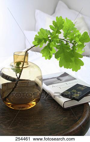 Plant in vase with books on table View Large Photo Image Stock Image - Plant in vase with books on table . Fotosearch