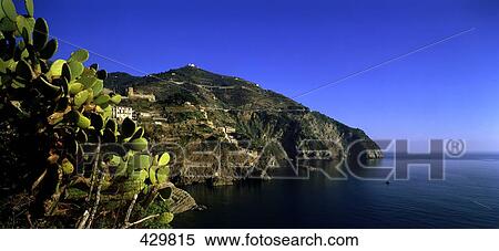 Plants on coast, Cinque Terre, Liguria, Italy View Large Photo Image Stock Photography - Plants on coast, Cinque Terre, Liguria, Italy . Fotosearch