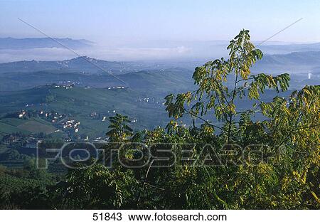 Plants on hill overlooking valley, La Morra, Provinz Cuneo, Italy View Large Photo Image Stock Image - Plants on hill overlooking valley, La Morra, Provinz Cuneo, Italy . Fotosearch