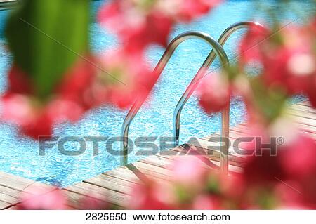 Stock Image - Railings by swimming pool . Fotosearch