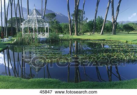 Reflection of pavillion in water, Boschendal Wine Estate, Western Cape Province, South Africa View Large Photo Image Stock Photo - Reflection of pavillion in water, Boschendal Wine Estate, Western Cape Province, South Africa . Fotosearch