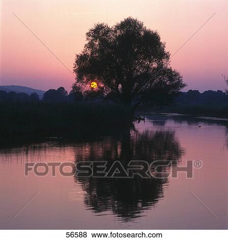 Stock Photo - Reflection of tree in lake water at dusk, Lake Constance, Baden-Wurttemberg, Germany . Fotosearch